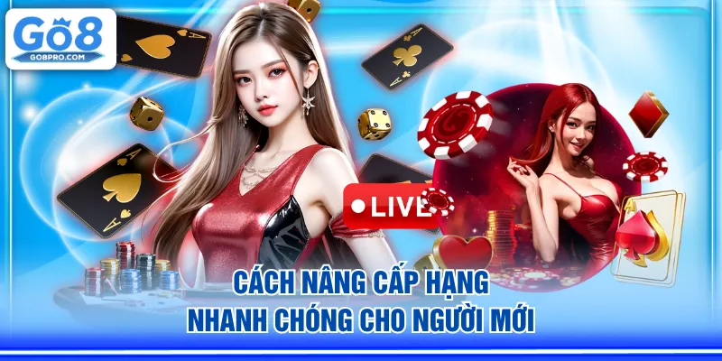Cách nâng cấp hạng nhanh chóng cho người mới
